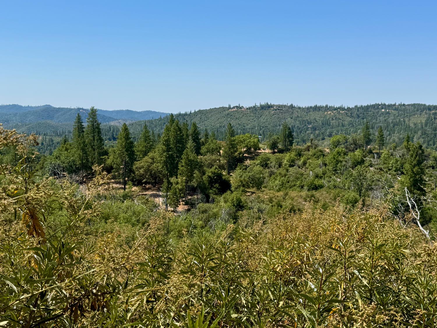 9055 Rodesino Road