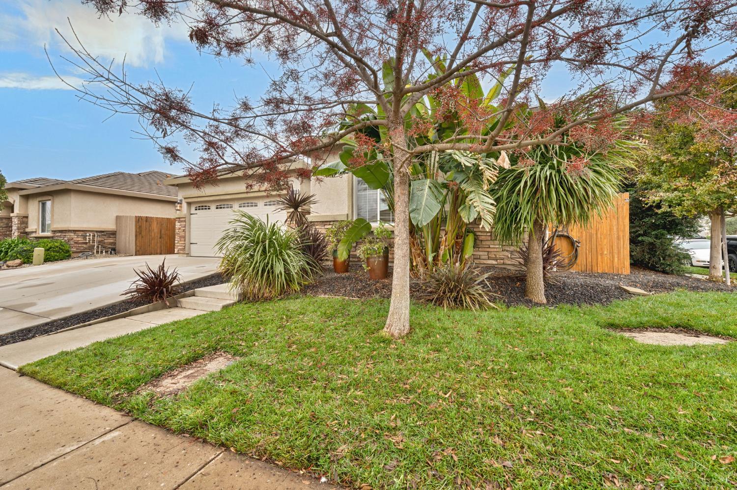 12389 Muir Trail Way