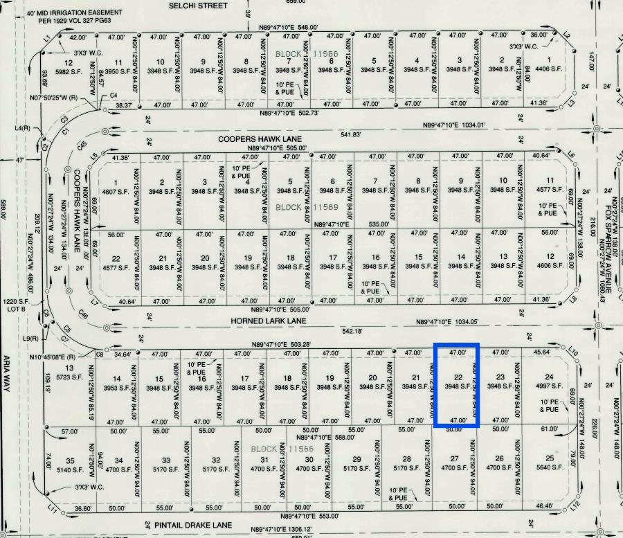 2636 Horned Lark Lane