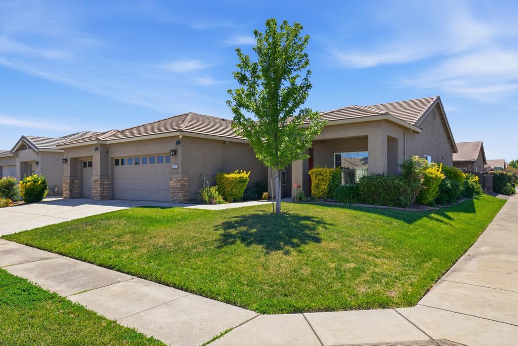 5674 Meadow Brook Way