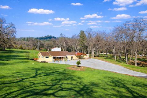 1203 Green Meadow Court Murphys CA 95247