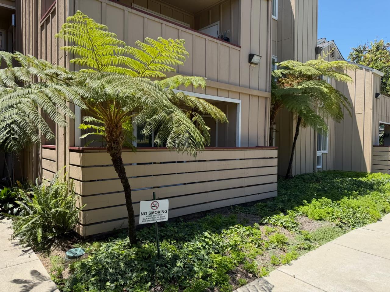147 Monte Verano Court