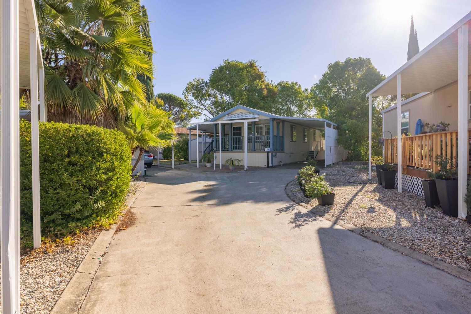 55 BIRCH Lane