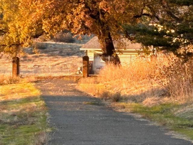 5901 Old Sacramento Road