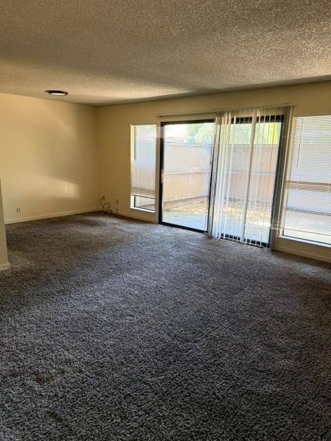 1037 Fulton Avenue 375