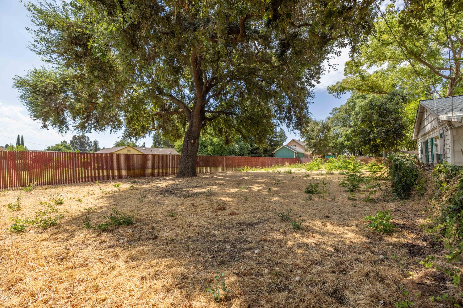 620 Smilax Avenue