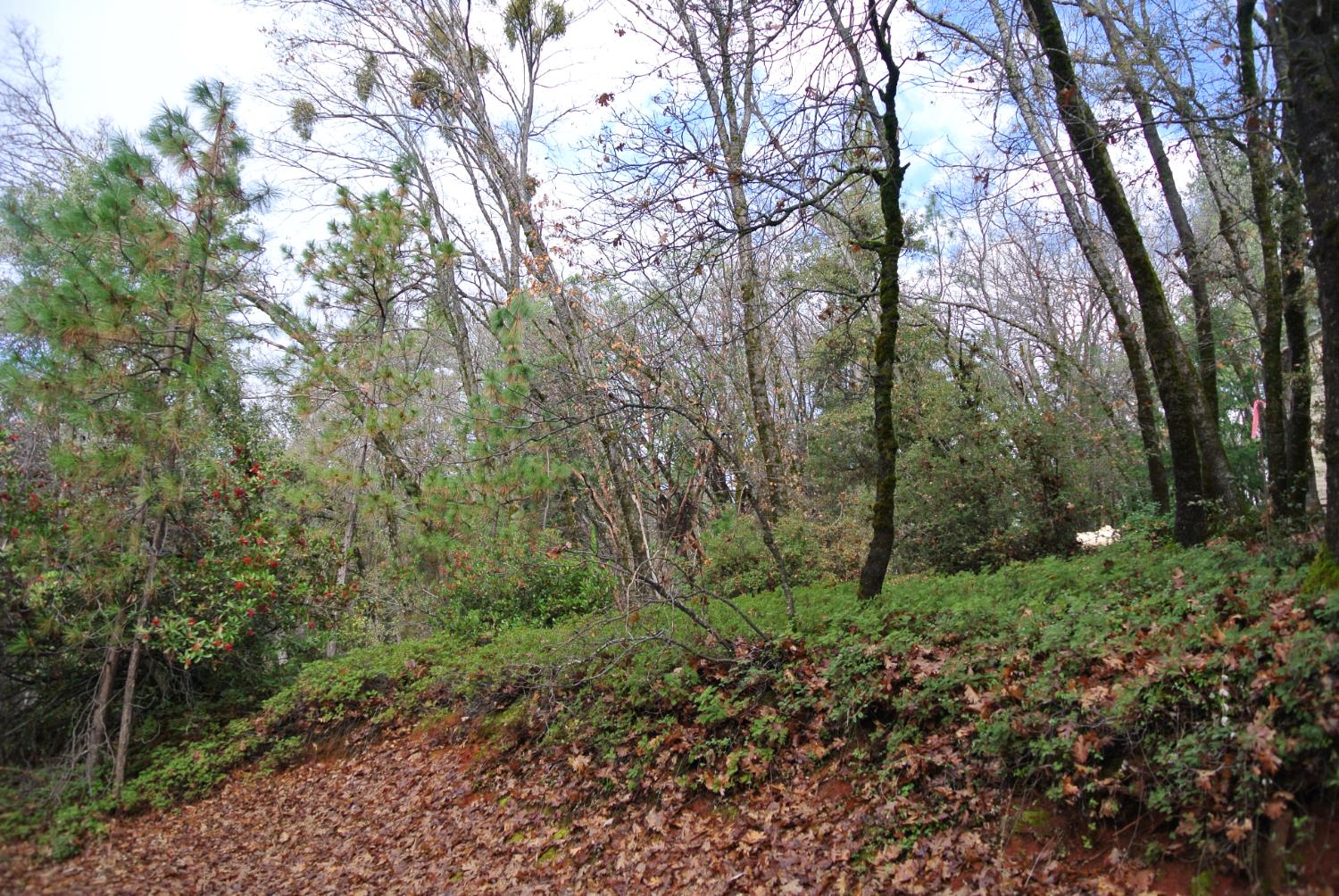 5588 Pine Ridge Road