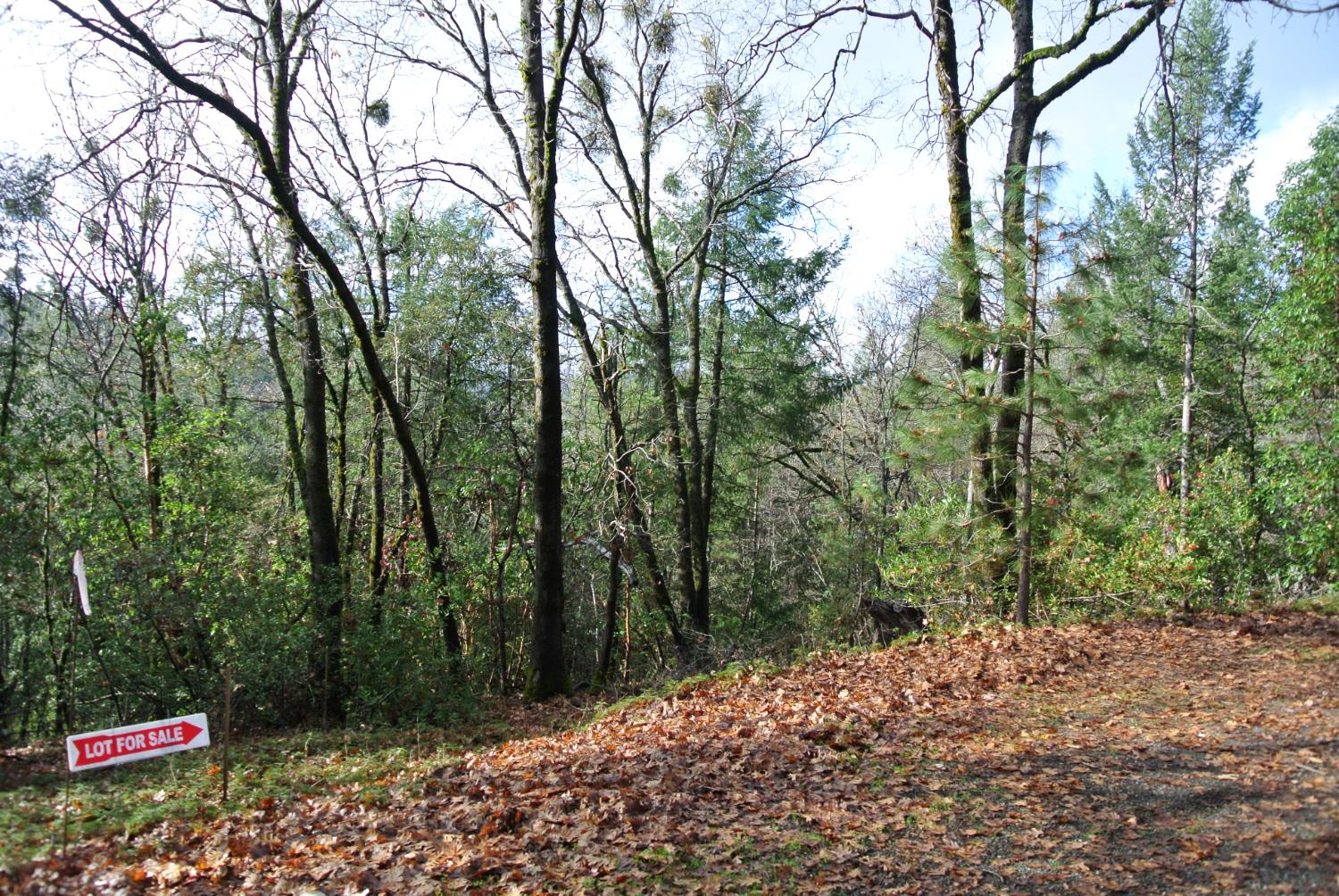 5588 Pine Ridge Road