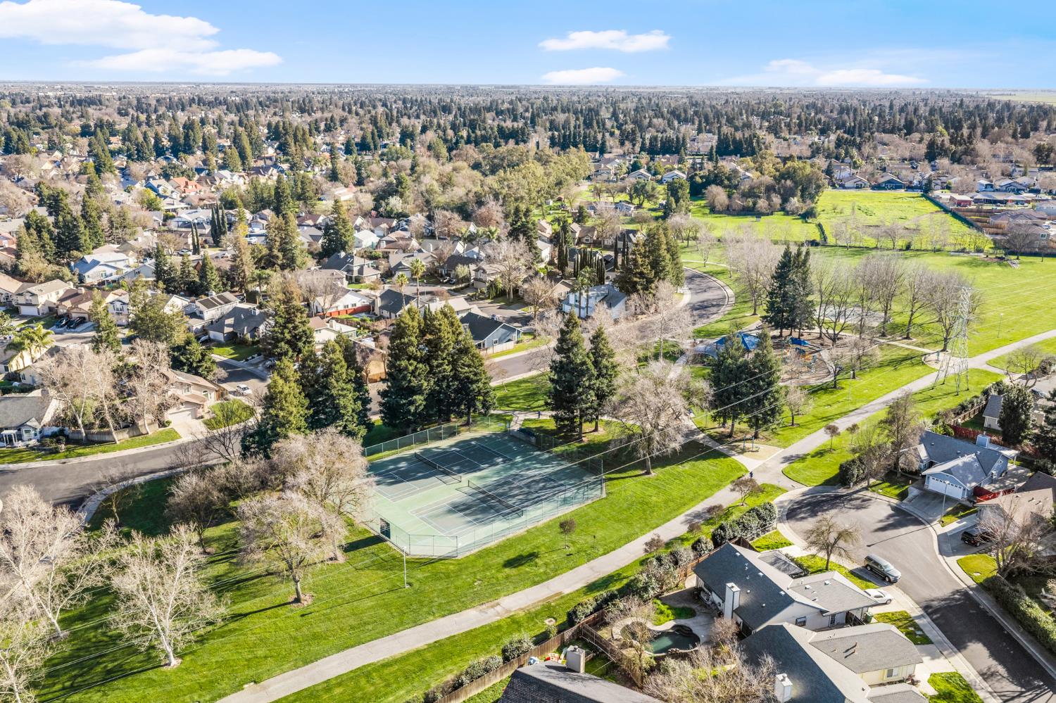 9038 Weeping Fig Way