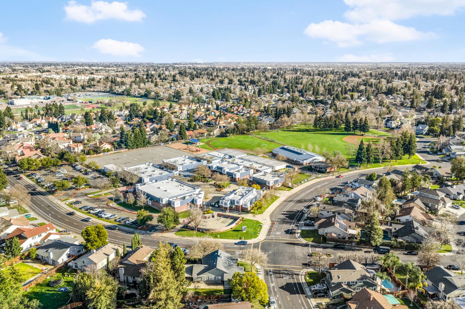 9038 Weeping Fig Way