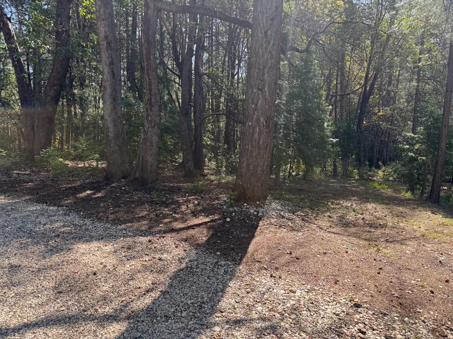 13071 Moonshine Road