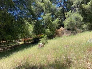 27880 Debbie Court