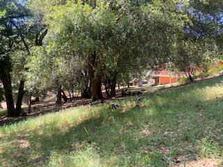 27880 Debbie Court