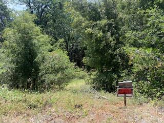 27880 Debbie Court