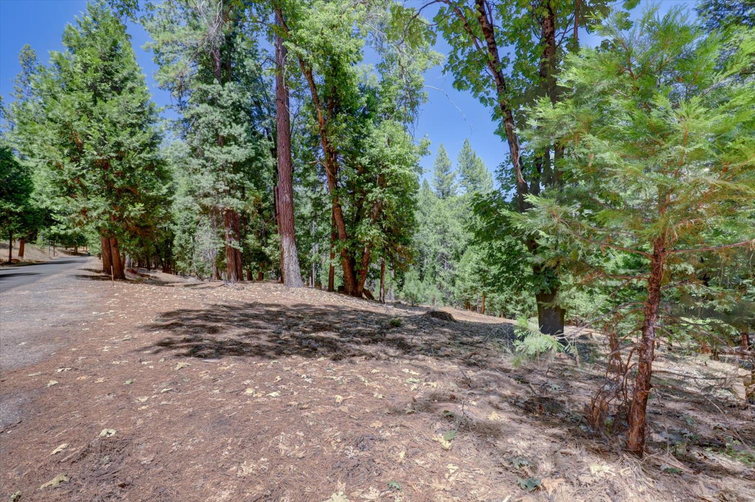 14115 Tahoe View Drive
