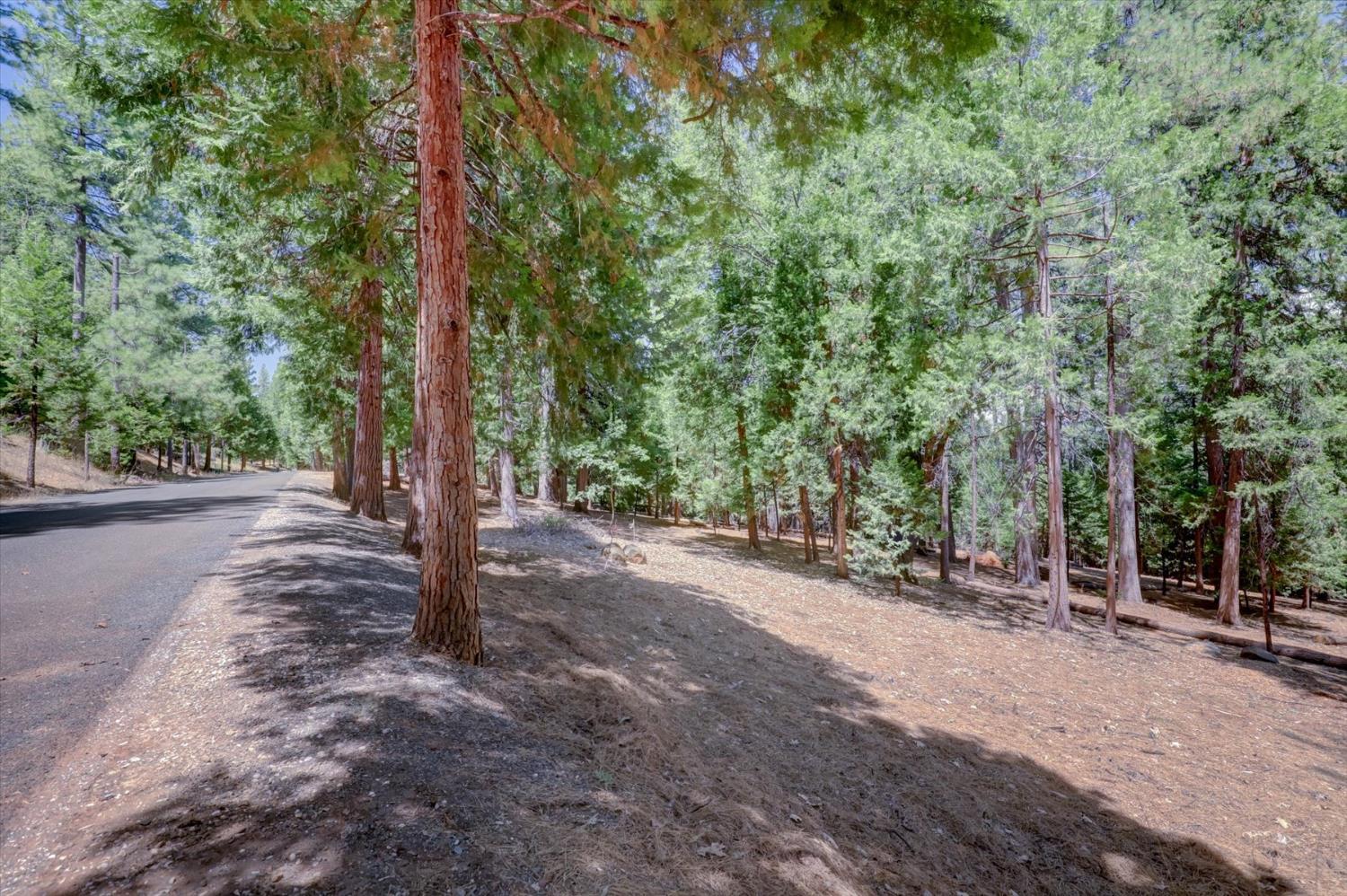 14115 Tahoe View Drive