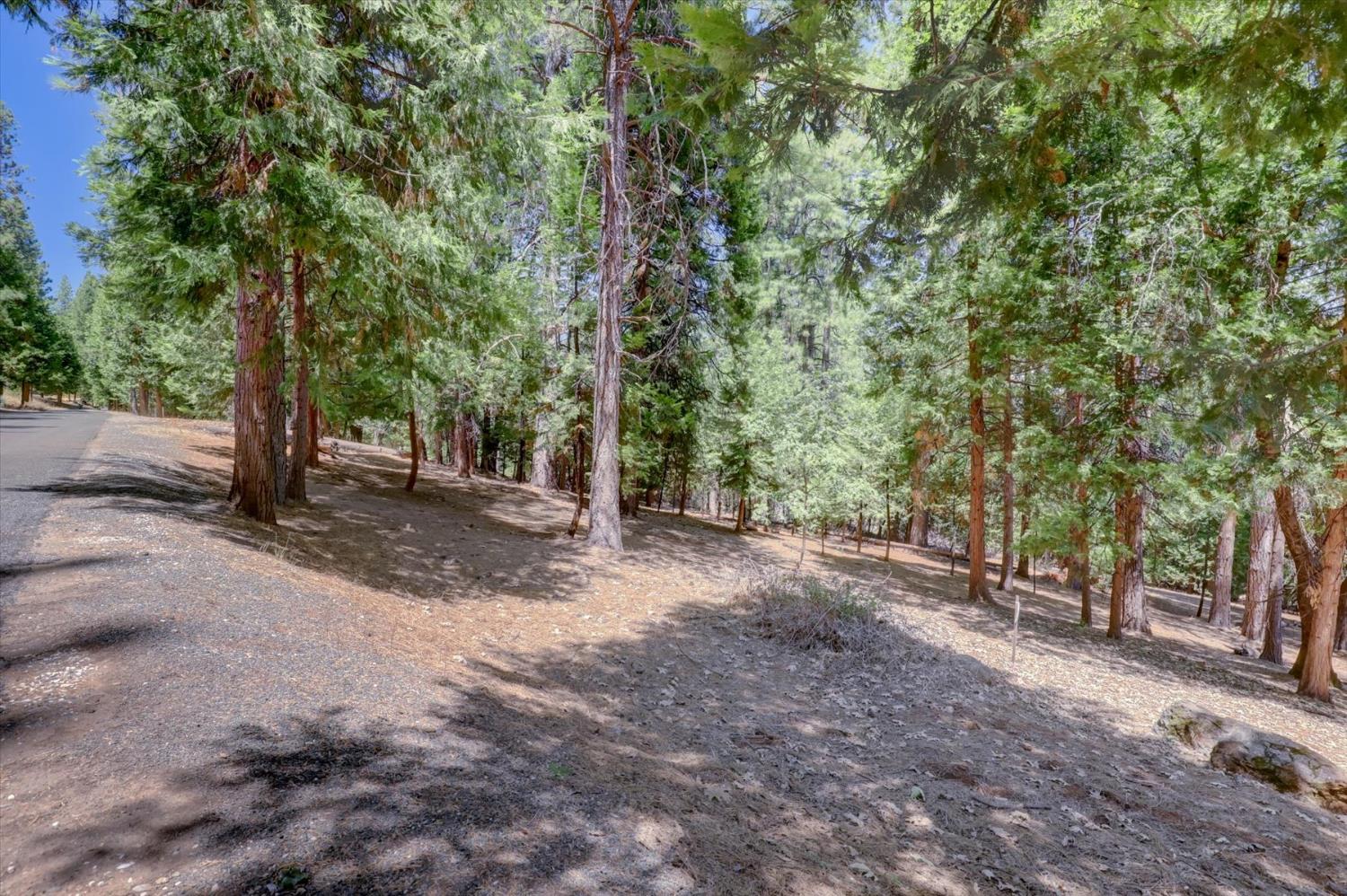 14115 Tahoe View Drive