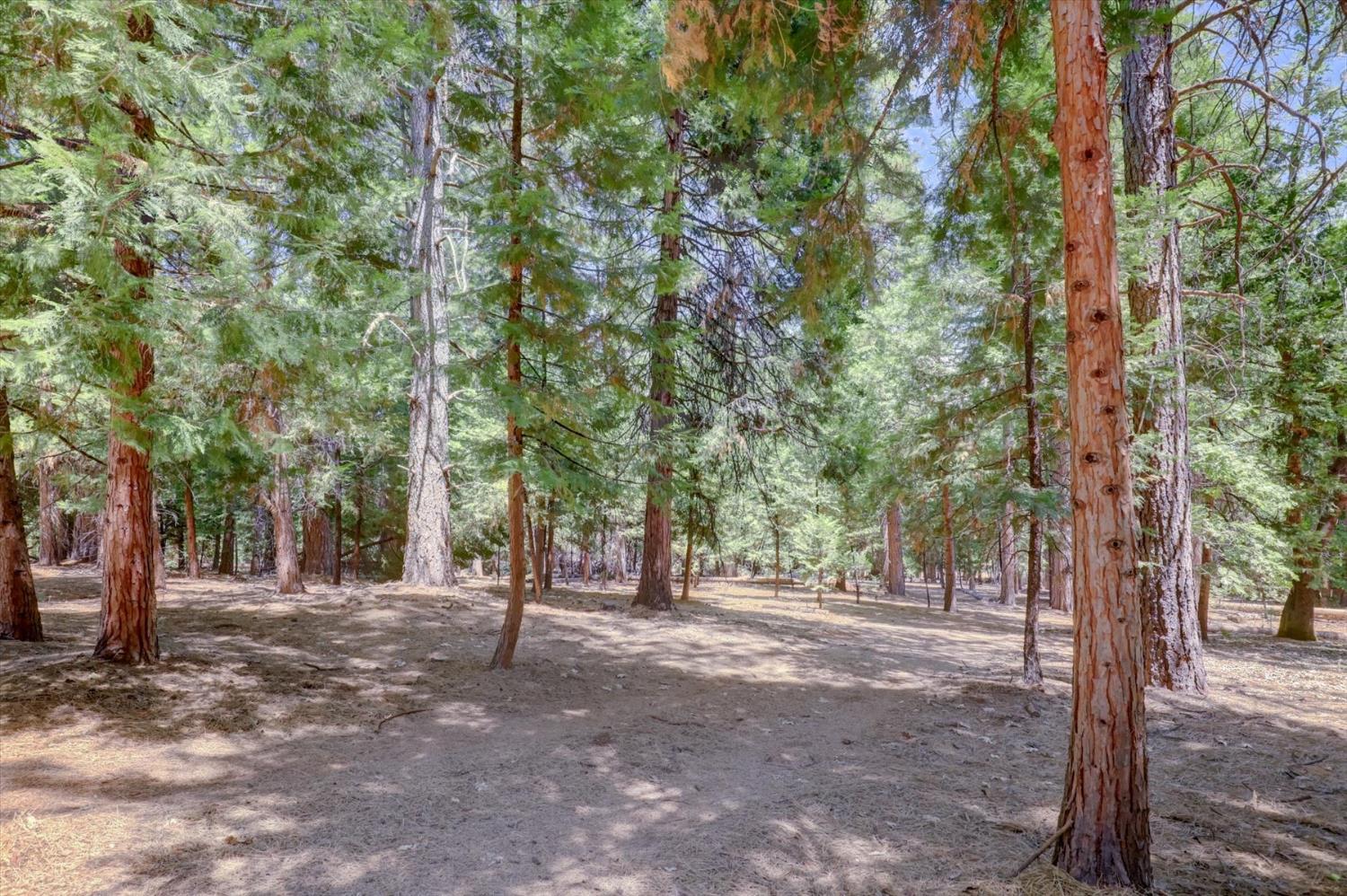 14115 Tahoe View Drive