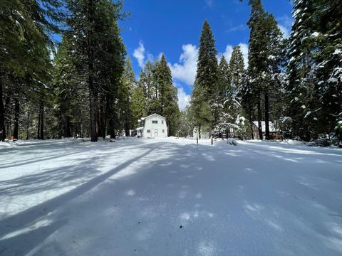 10421 Wentworth Springs Road Georgetown CA 95634