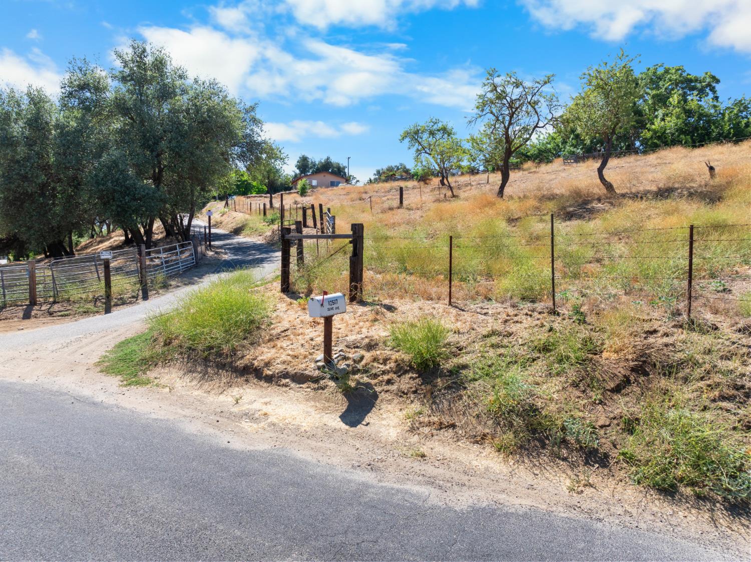 10517 Olive Road