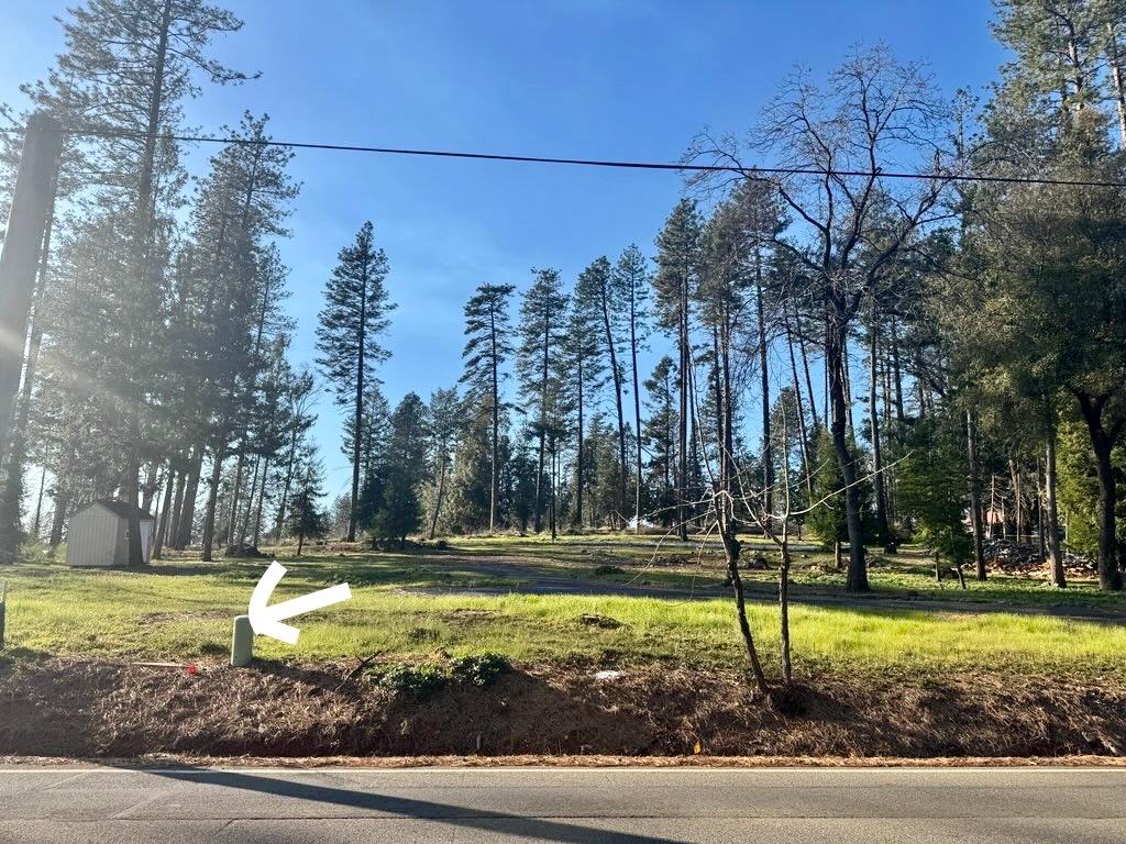 7125 Clark Road