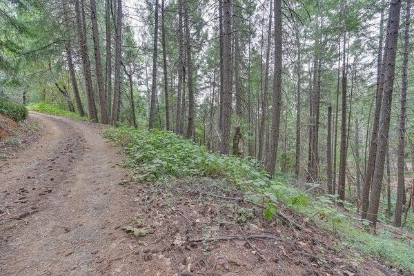 3701 MARSHALL RD, GARDEN VALLEY, CA 95633 - Image 09c7ea1fa5adaefa834c9f2eb6921a85/2281185223