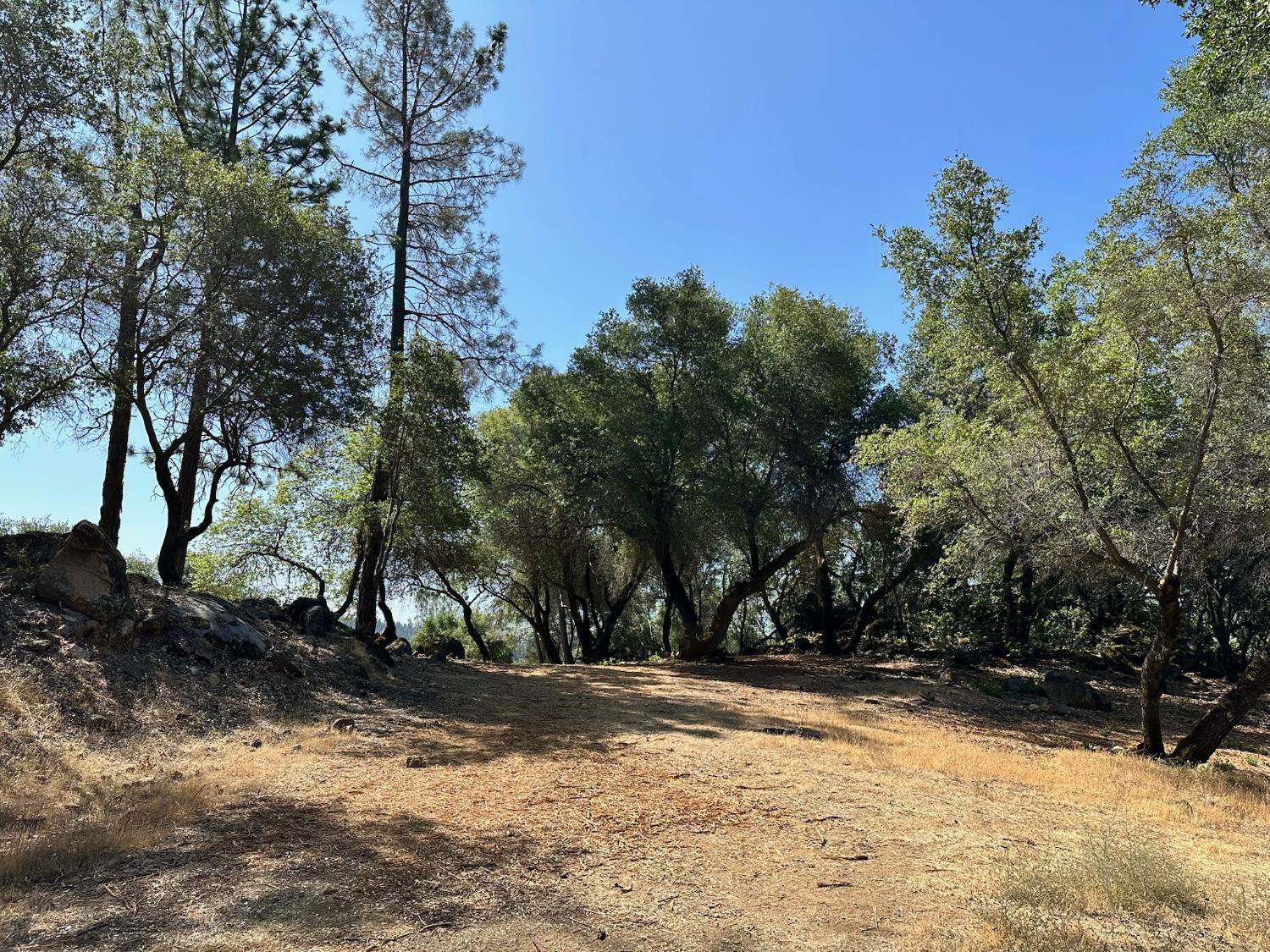 390 Summit View Court