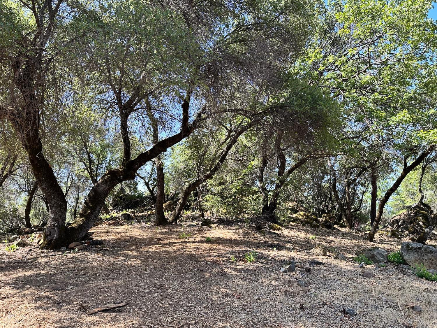 390 Summit View Court