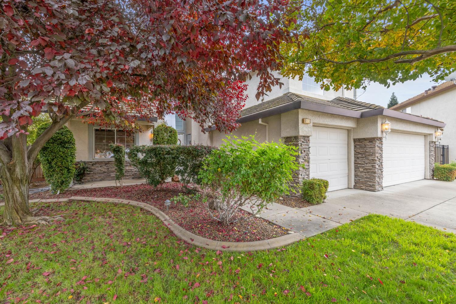 8313 Leatherleaf Court