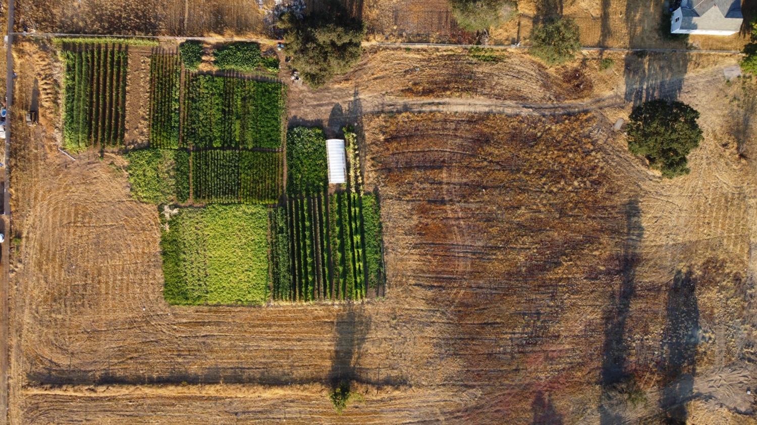 131 Silver Eagle Road