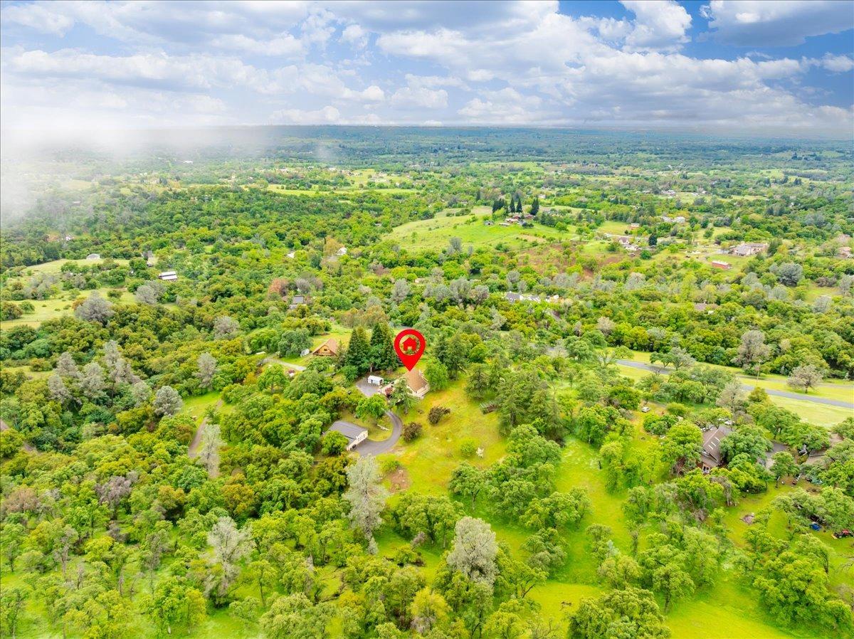 4130 Puzzlewood Lane