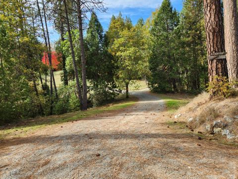 13786 Moonshine Road Camptonville CA 95922