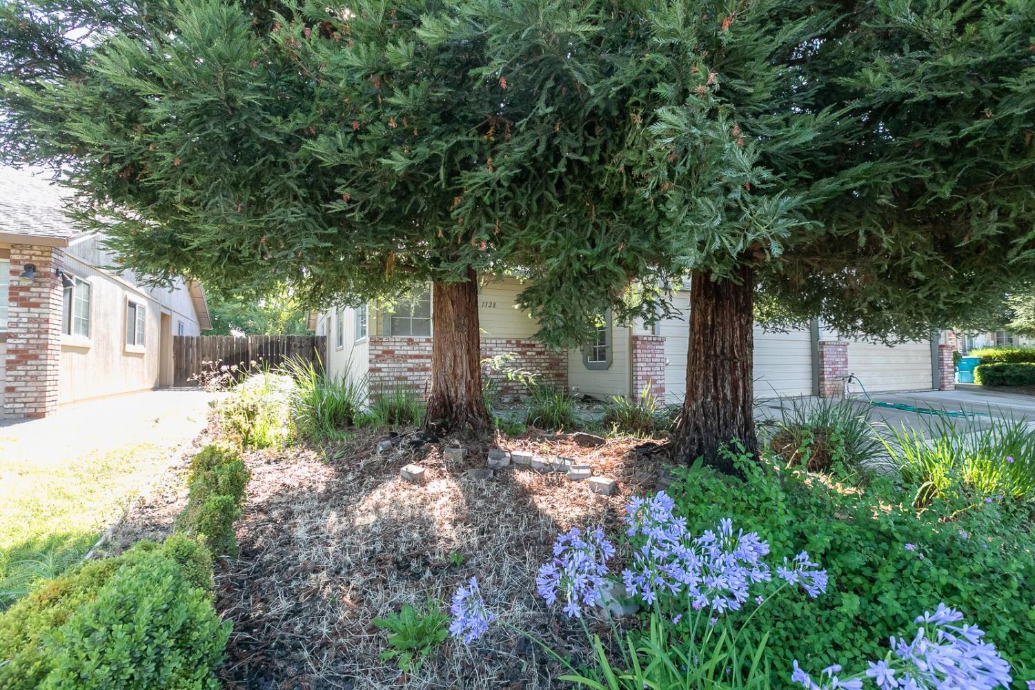 1328 Eastwind