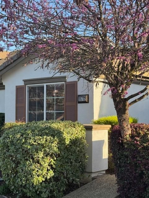 11772 Lilac Canyon Court, Rancho Cordova, CA 95742 - MLS#: 225037484