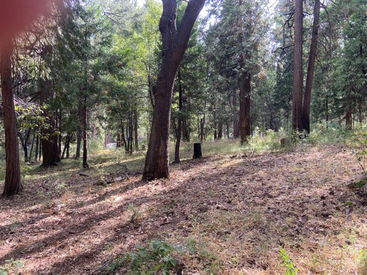 5869 PONY EXPRESS TRL, POLLOCK PINES, CA 95726 - Image 0c8691056053499da9779ea4e9ac9708/2654892964