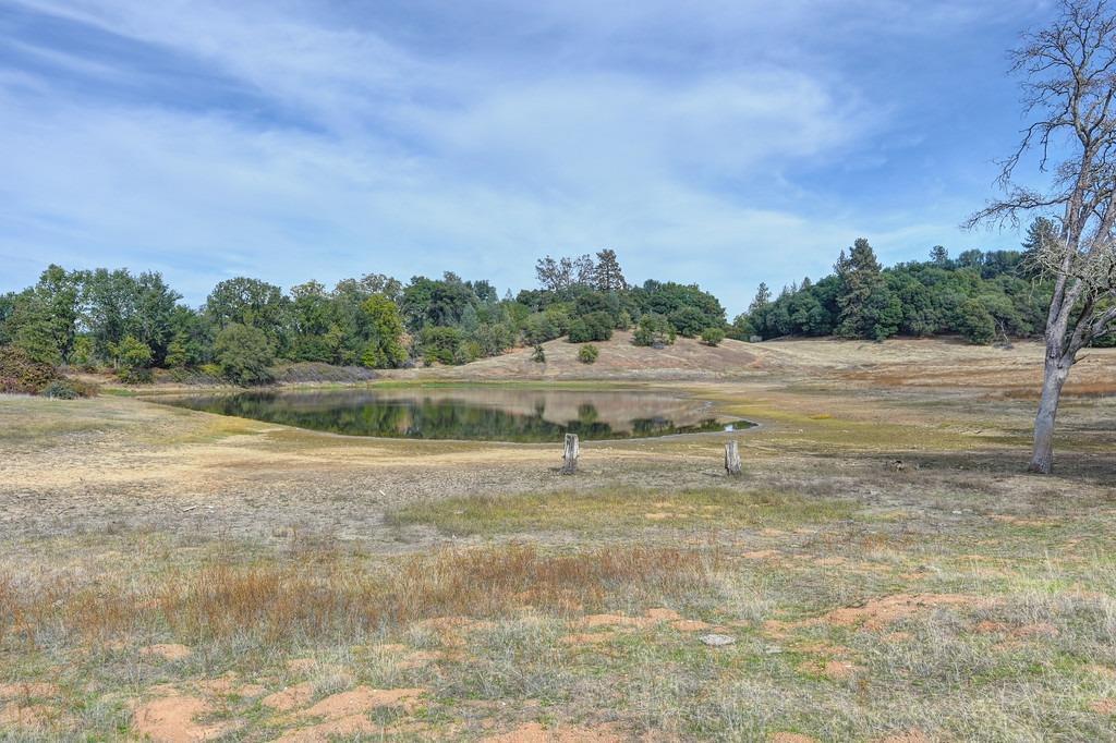 5520 Mother Lode Drive