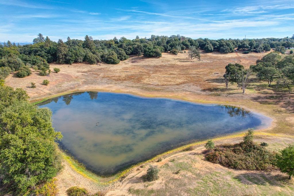 5520 Mother Lode Drive