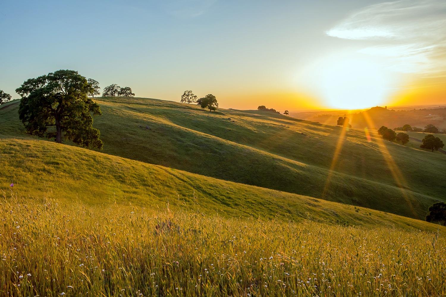 9840 New Chicago Road