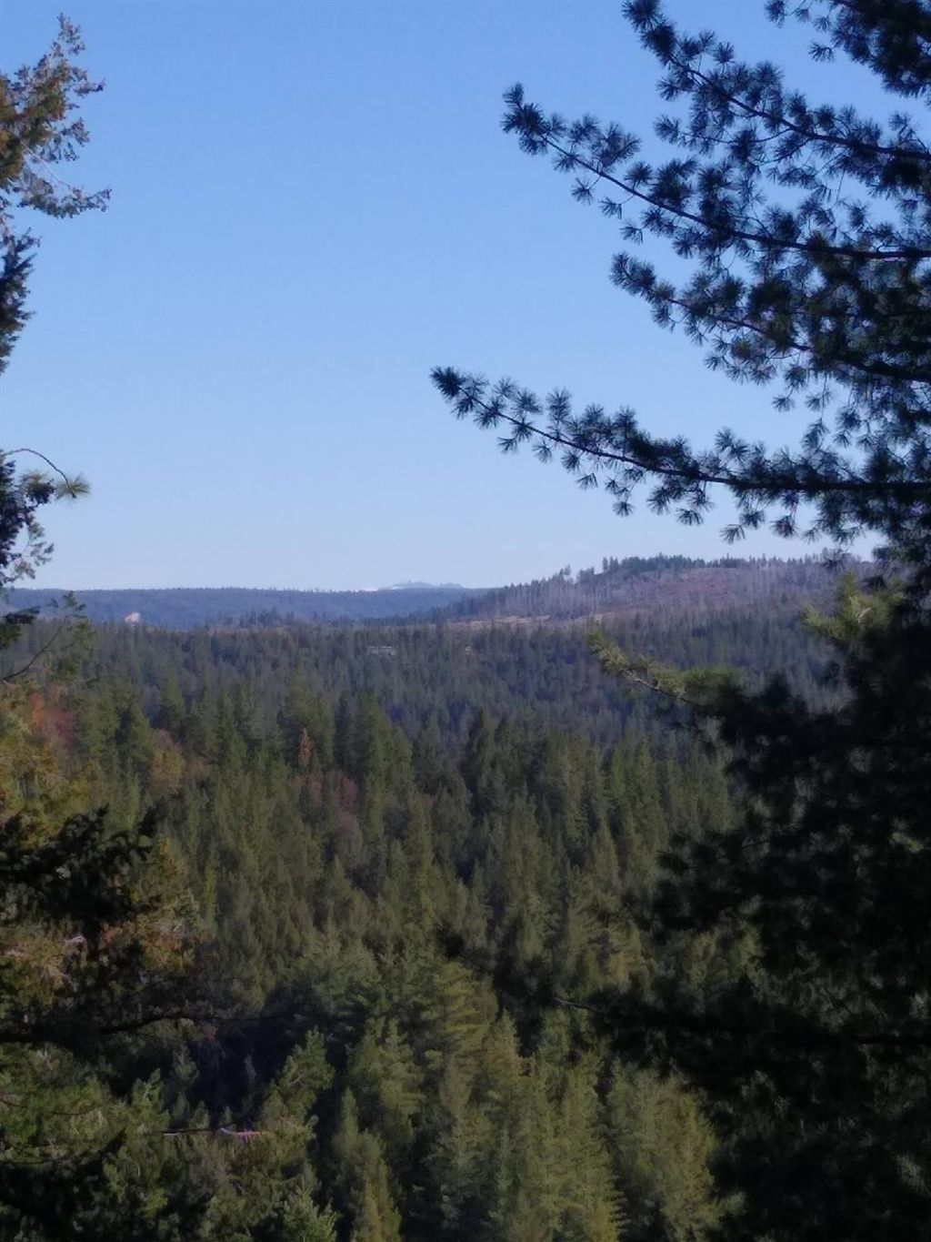 Photo of 7040 Goferbroke Road, Georgetown, CA 95634 (MLS # 226006454)