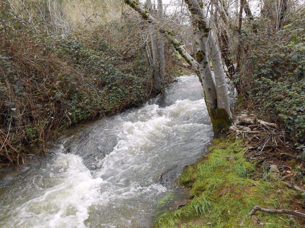 Photo of 7040 Goferbroke Road, Georgetown, CA 95634 (MLS # 226006454)