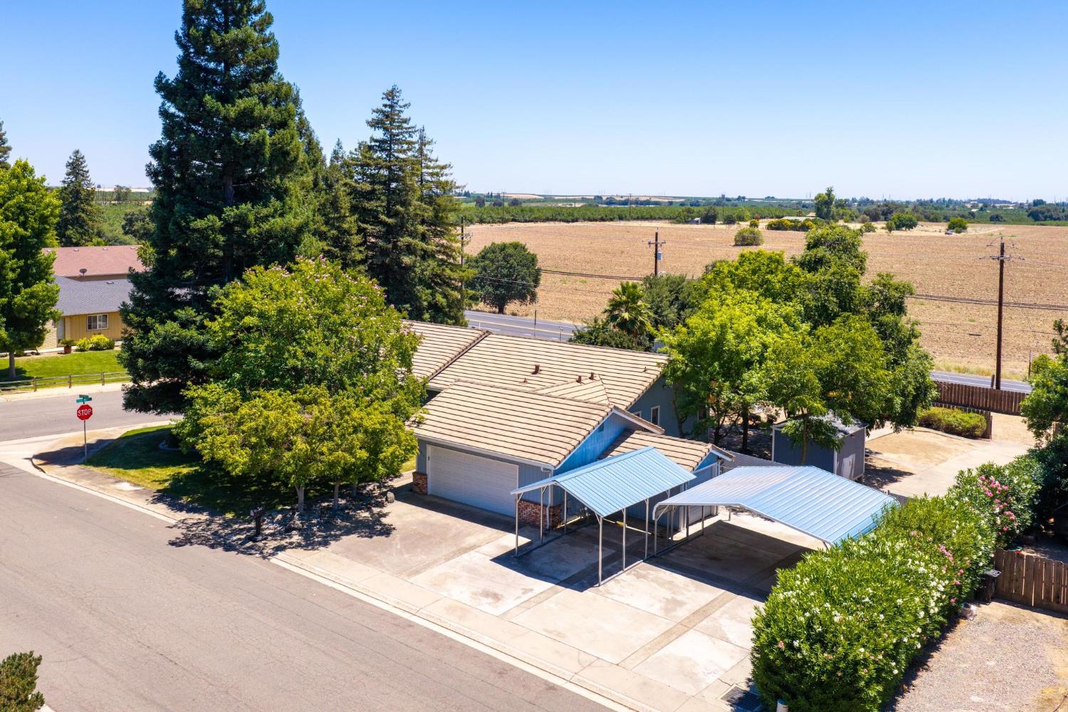 10012 Plaza De Oro Drive