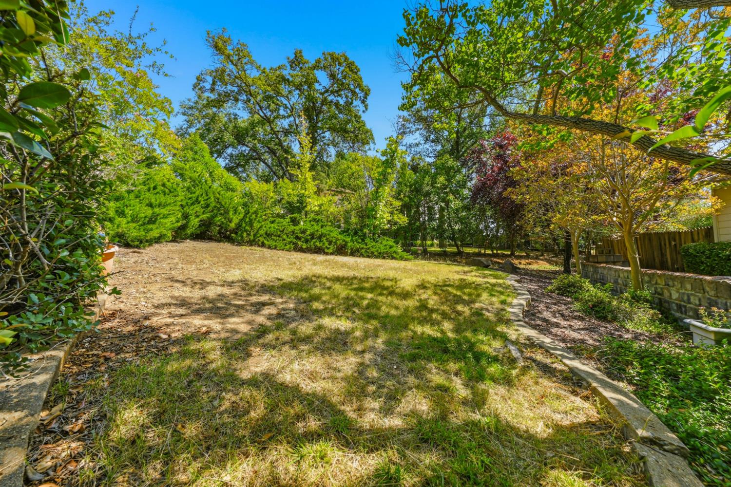 2476 Snag Court