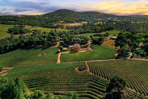 5660 Vineyard Lane Placerville CA 95667