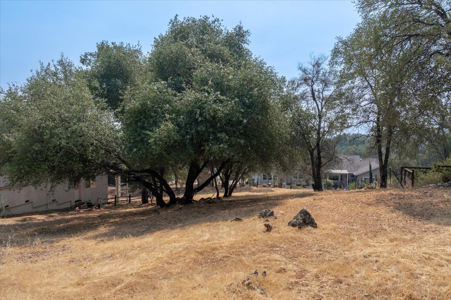 736 Live Oak