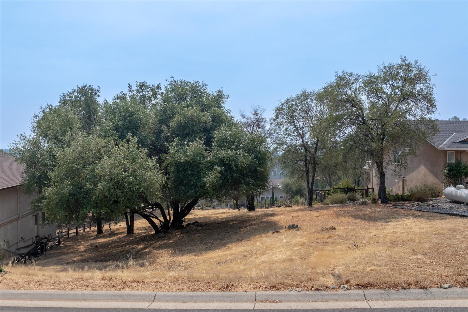 736 Live Oak