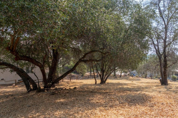 736 LIVE OAK DR, ANGELS CAMP, CA 95222 - Image 0e74fa93b86fa59bd82ddd631f3fc080/299851281