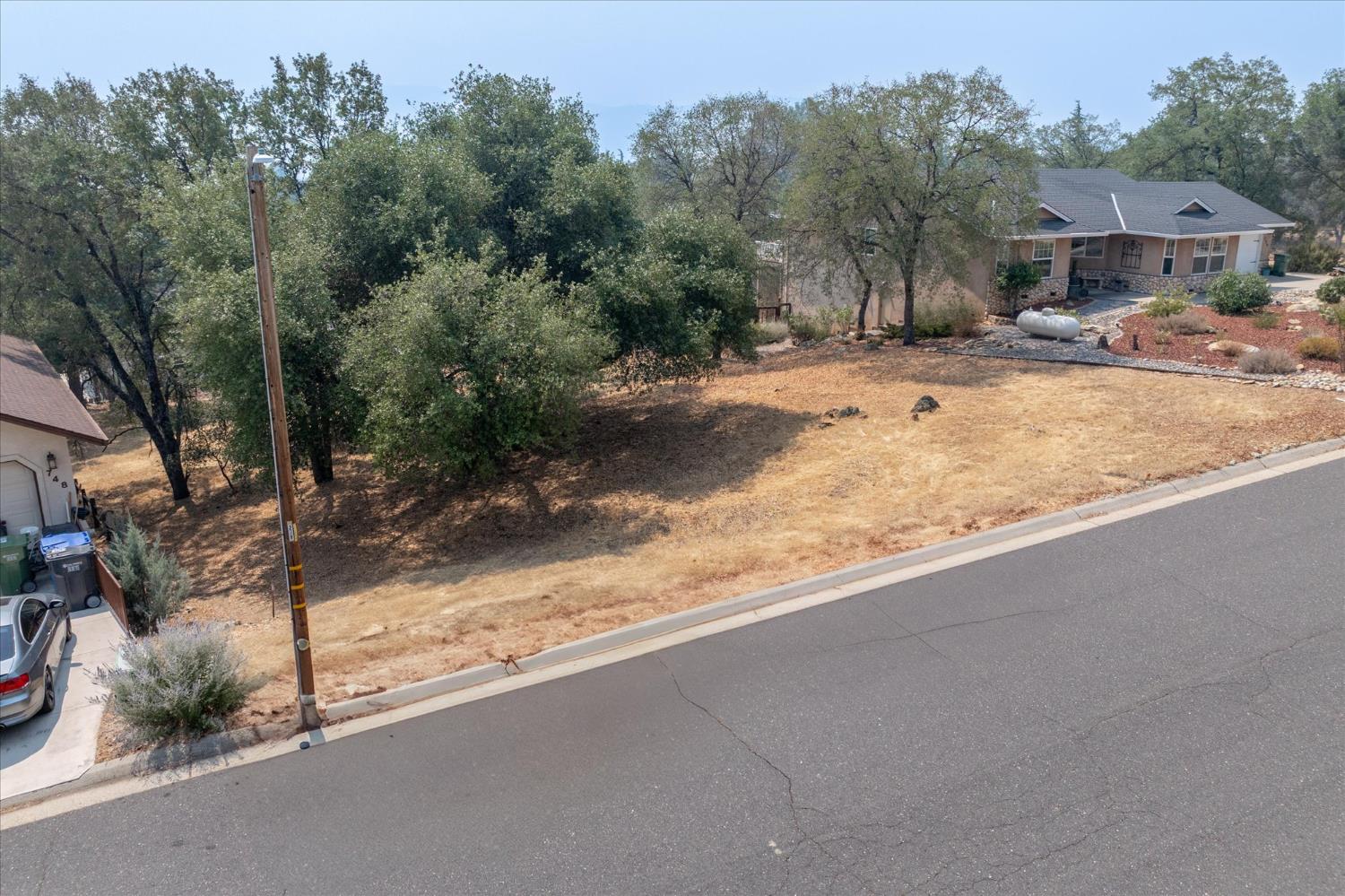 736 Live Oak