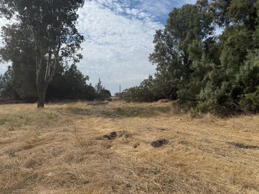 8021 W CHRISTIAN AVE, DOS PALOS, CA 93620 - Image 0e7b87f2bcb3ae8bc4181faeb8d863de/558063430