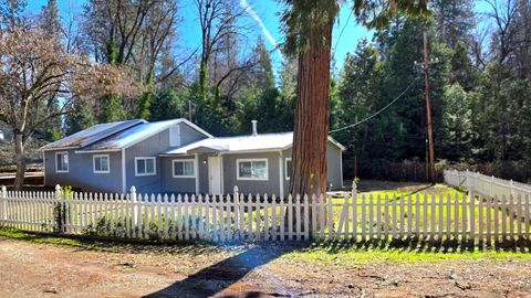 10479 Robin Avenue, Grass Valley, CA 95945 - MLS#: 225020739