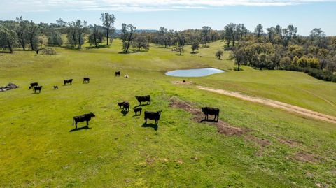 13012 Highway 124 Ione CA 95640